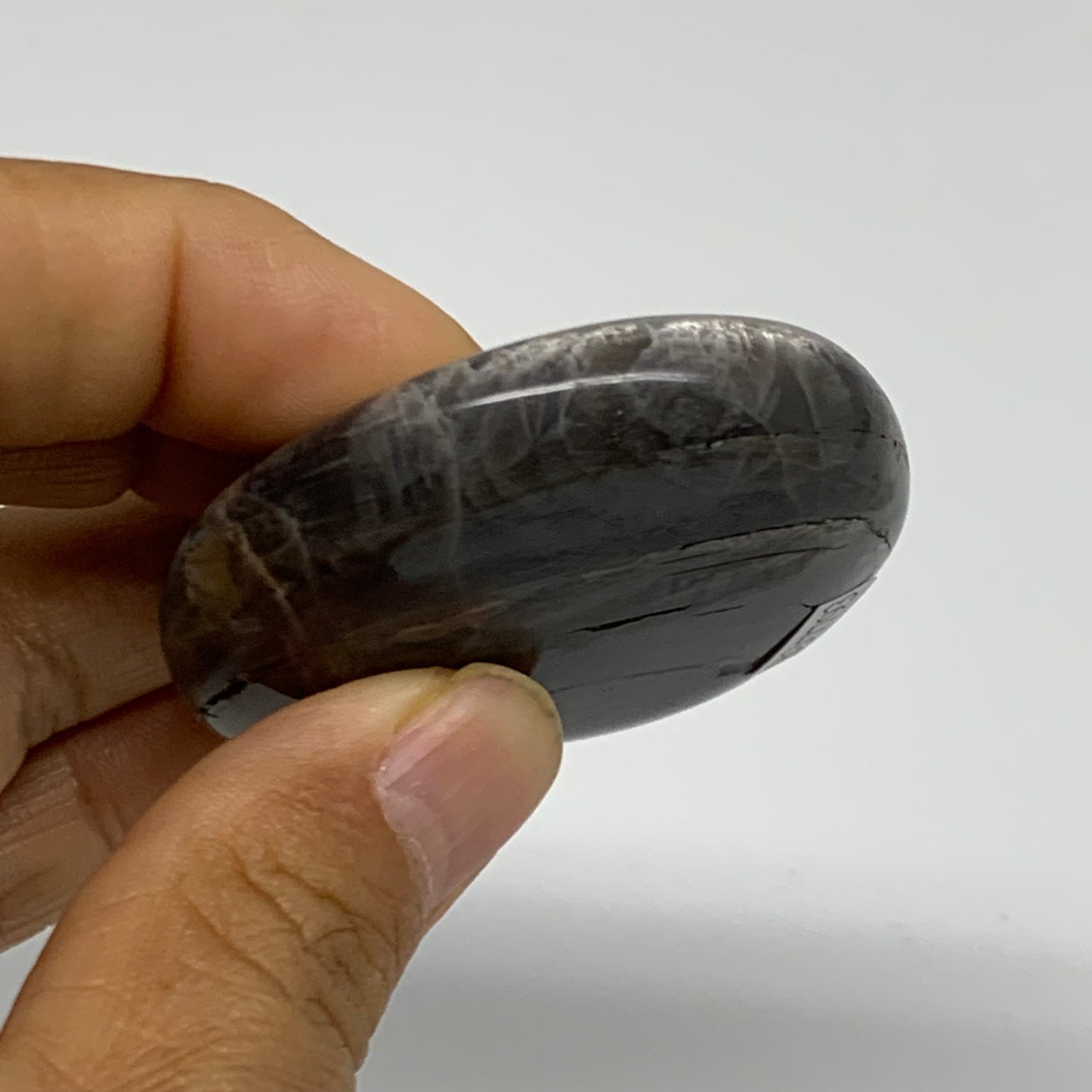 73.7g, 2.3"x1.9"x0.6",  Black Moonstone Crystal Palm-Stone Polished, B37793