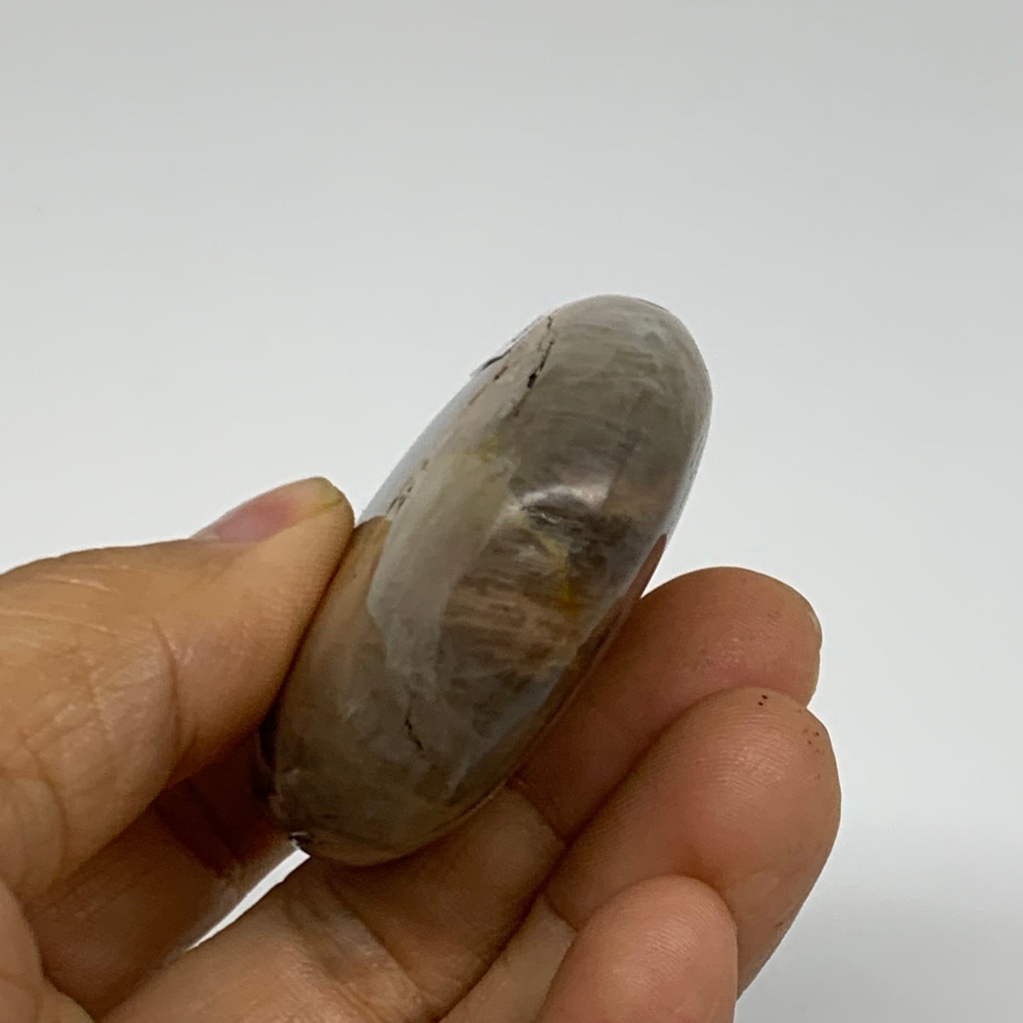 74g, 2.2"x1.9"x0.7",  Black Moonstone Crystal Palm-Stone Polished, B37796