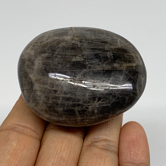 104.2g, 2.3"x1.9"x1",  Black Moonstone Crystal Palm-Stone Polished, B37787