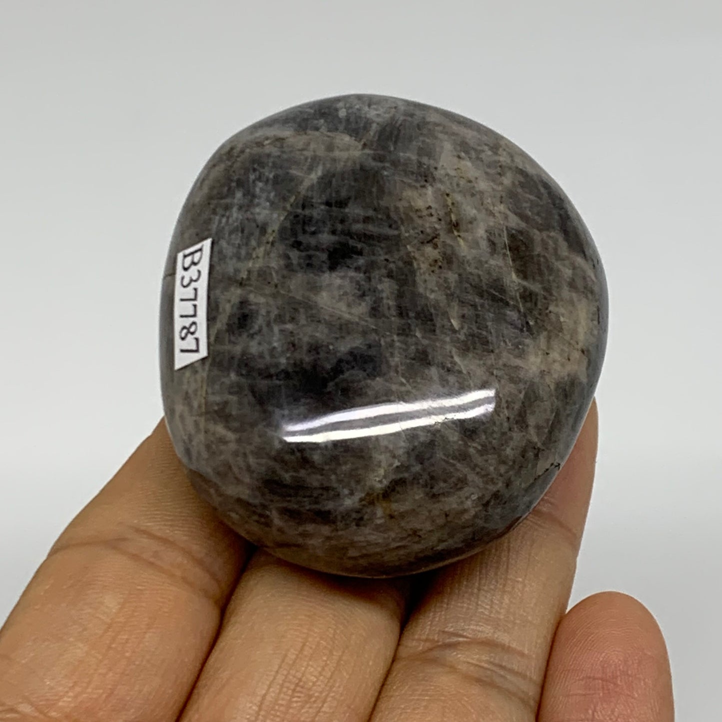 104.2g, 2.3"x1.9"x1",  Black Moonstone Crystal Palm-Stone Polished, B37787