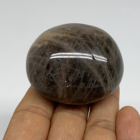 95.8g, 2"x1.7"x1.3",  Black Moonstone Crystal Palm-Stone Polished, B37788