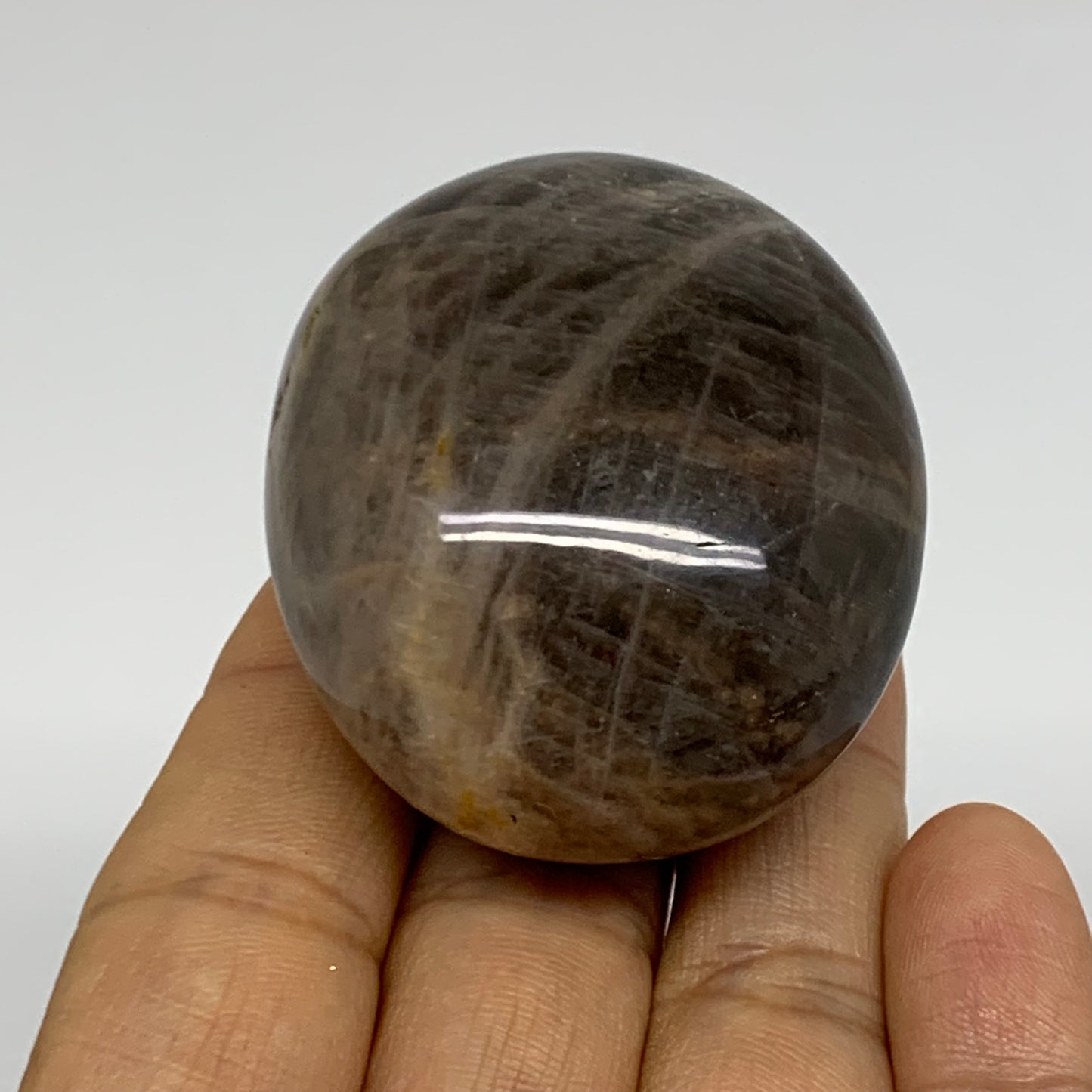 95.8g, 2"x1.7"x1.3",  Black Moonstone Crystal Palm-Stone Polished, B37788