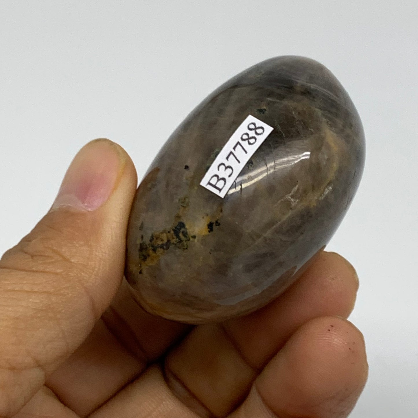 95.8g, 2"x1.7"x1.3",  Black Moonstone Crystal Palm-Stone Polished, B37788