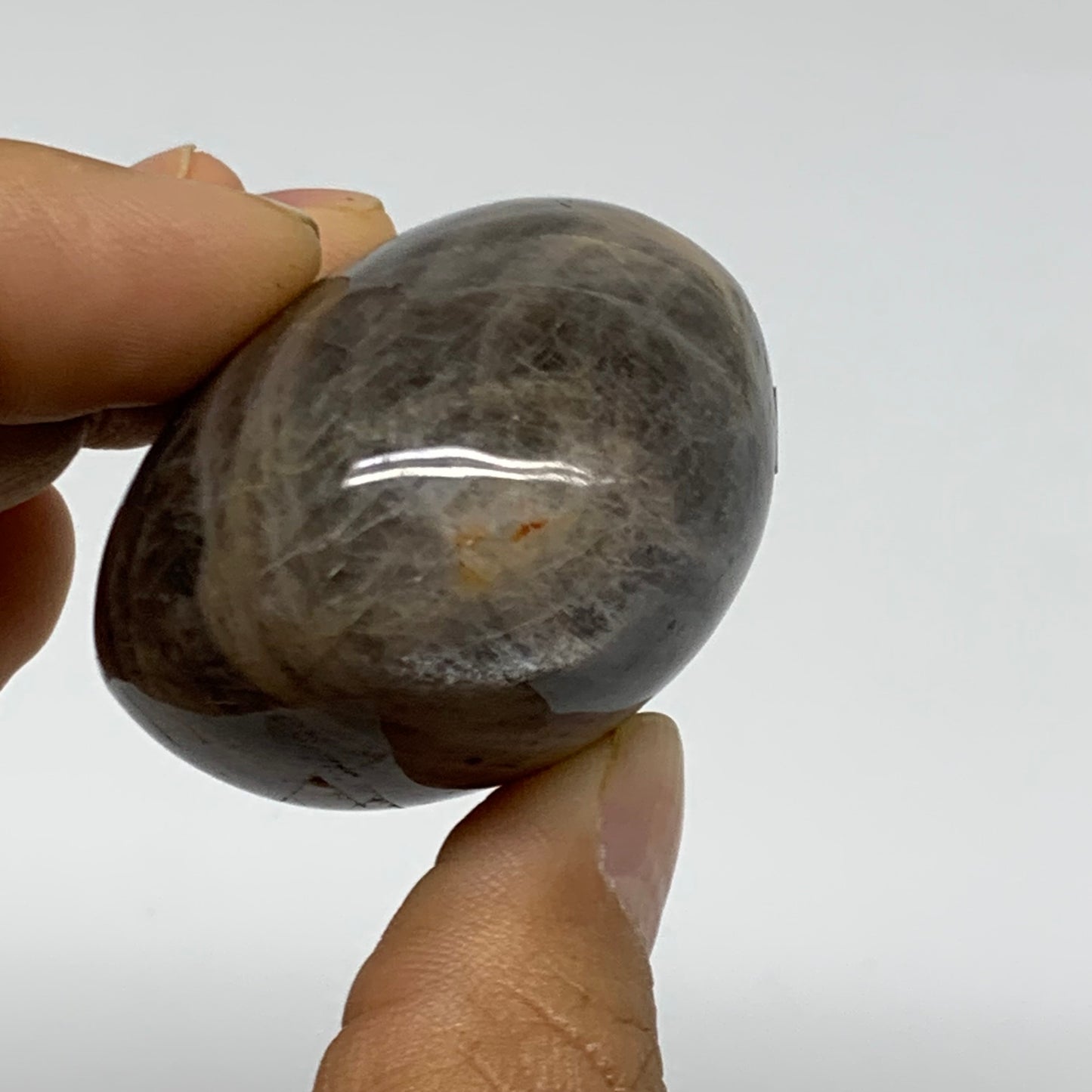 95.8g, 2"x1.7"x1.3",  Black Moonstone Crystal Palm-Stone Polished, B37788