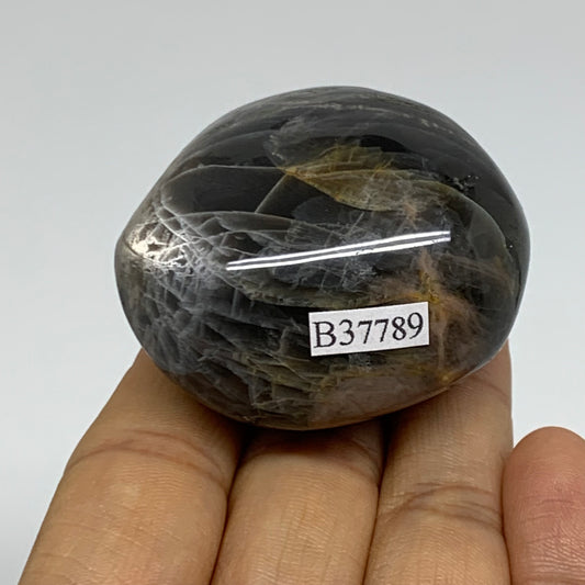 92.7g, 2"x1.8"x1.3",  Black Moonstone Crystal Palm-Stone Polished, B37789