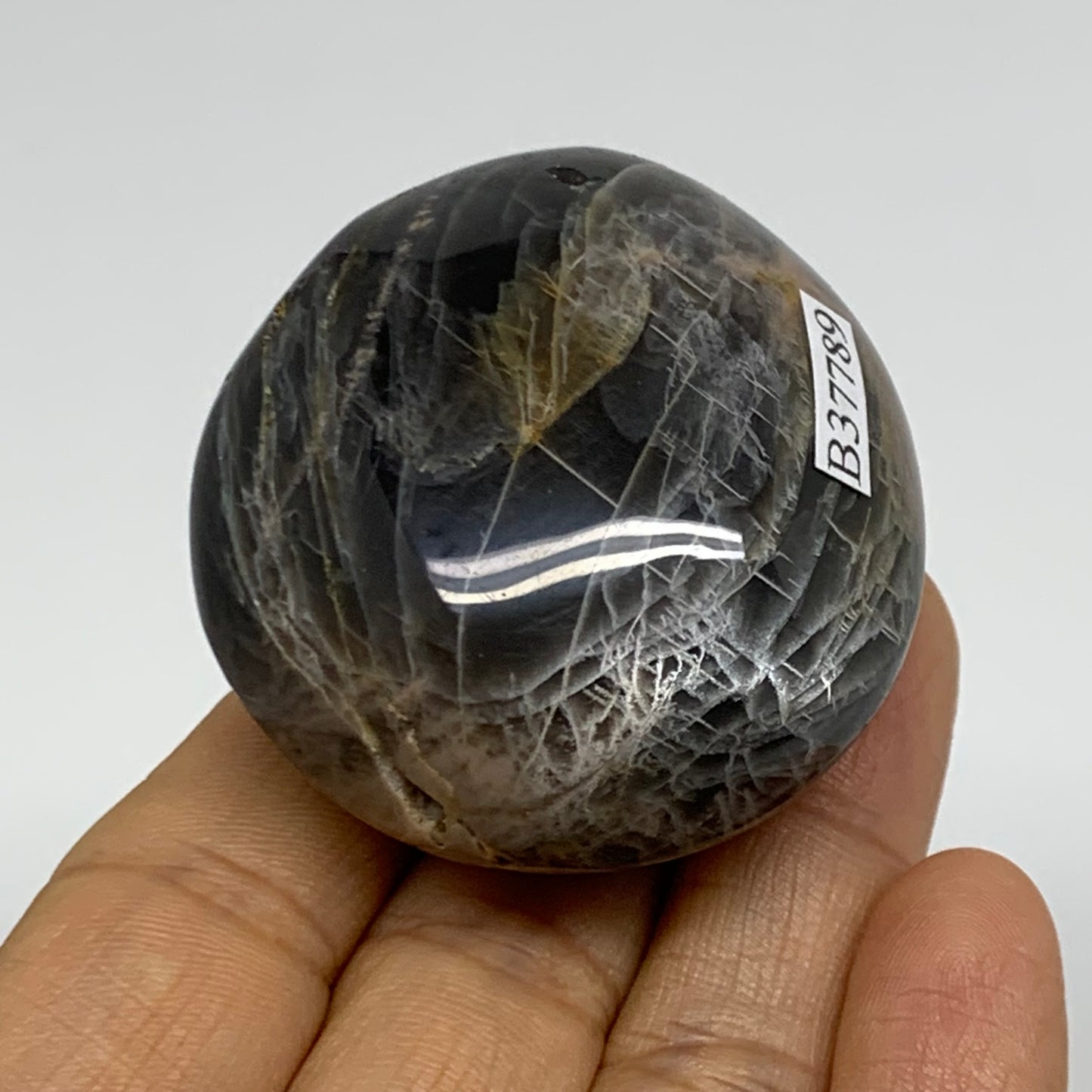92.7g, 2"x1.8"x1.3",  Black Moonstone Crystal Palm-Stone Polished, B37789