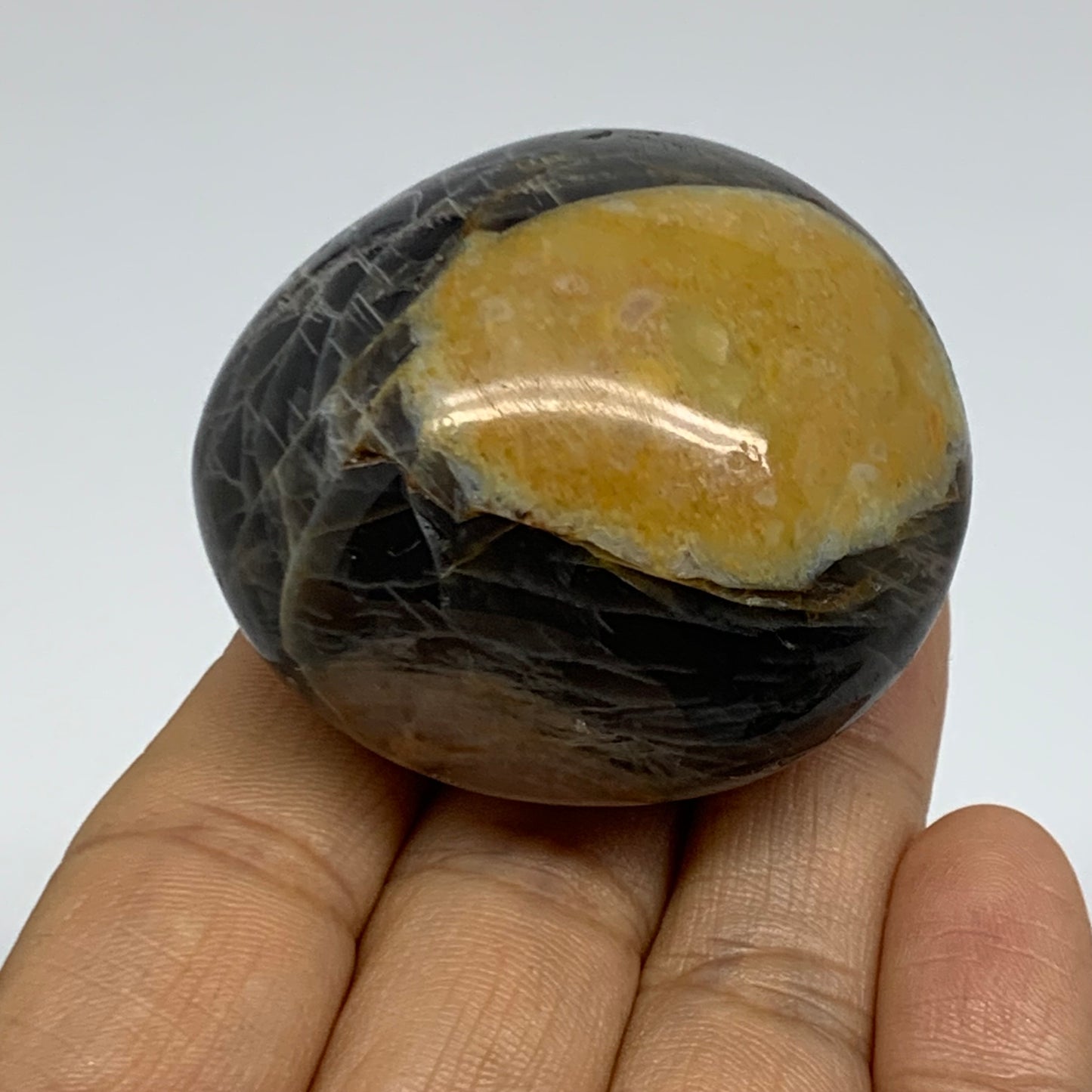 92.7g, 2"x1.8"x1.3",  Black Moonstone Crystal Palm-Stone Polished, B37789