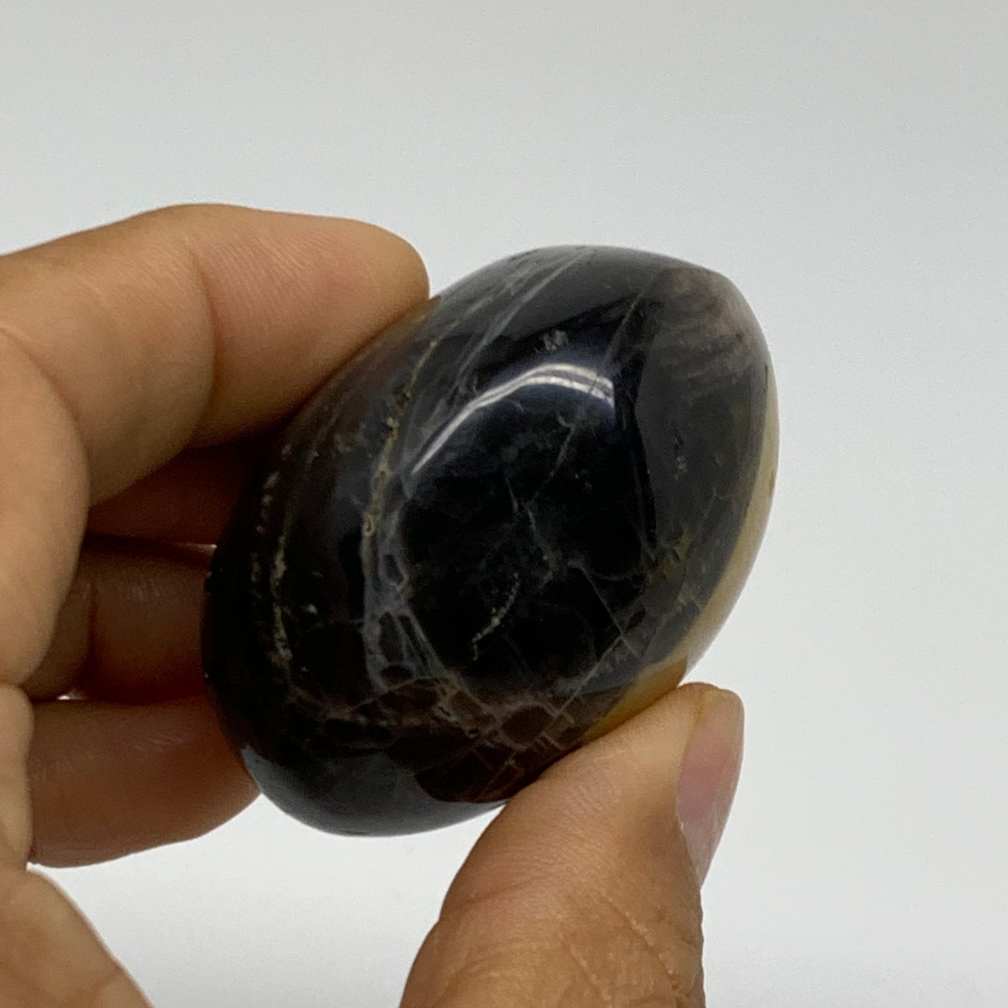 92.7g, 2"x1.8"x1.3",  Black Moonstone Crystal Palm-Stone Polished, B37789