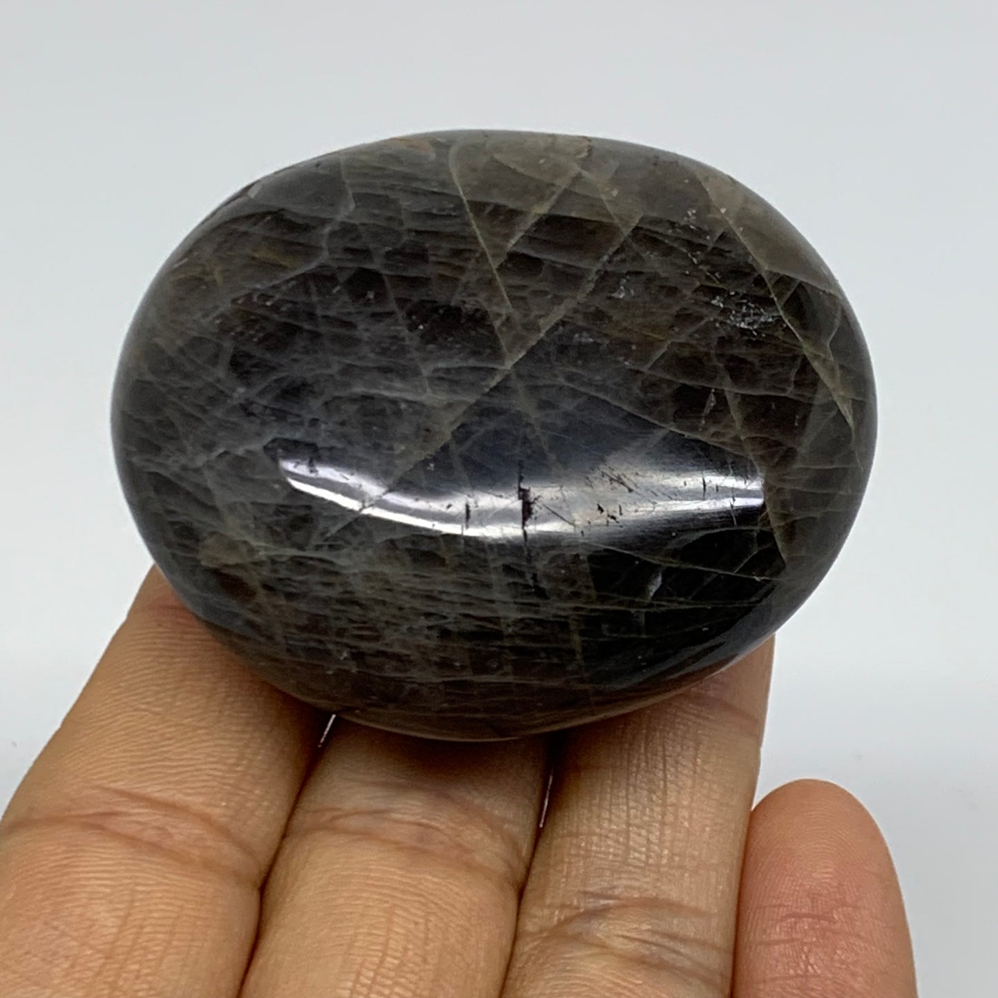101.6g, 2.2"x1.9"x1",  Black Moonstone Crystal Palm-Stone Polished, B37790