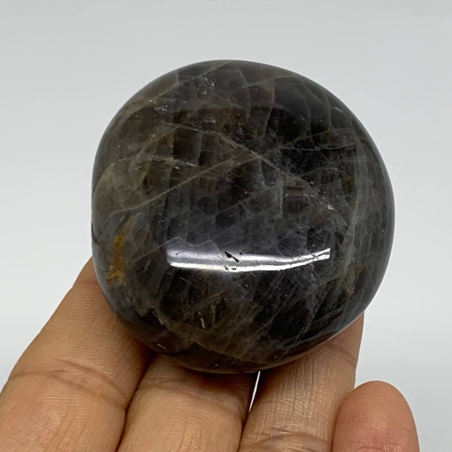 101.6g, 2.2"x1.9"x1",  Black Moonstone Crystal Palm-Stone Polished, B37790