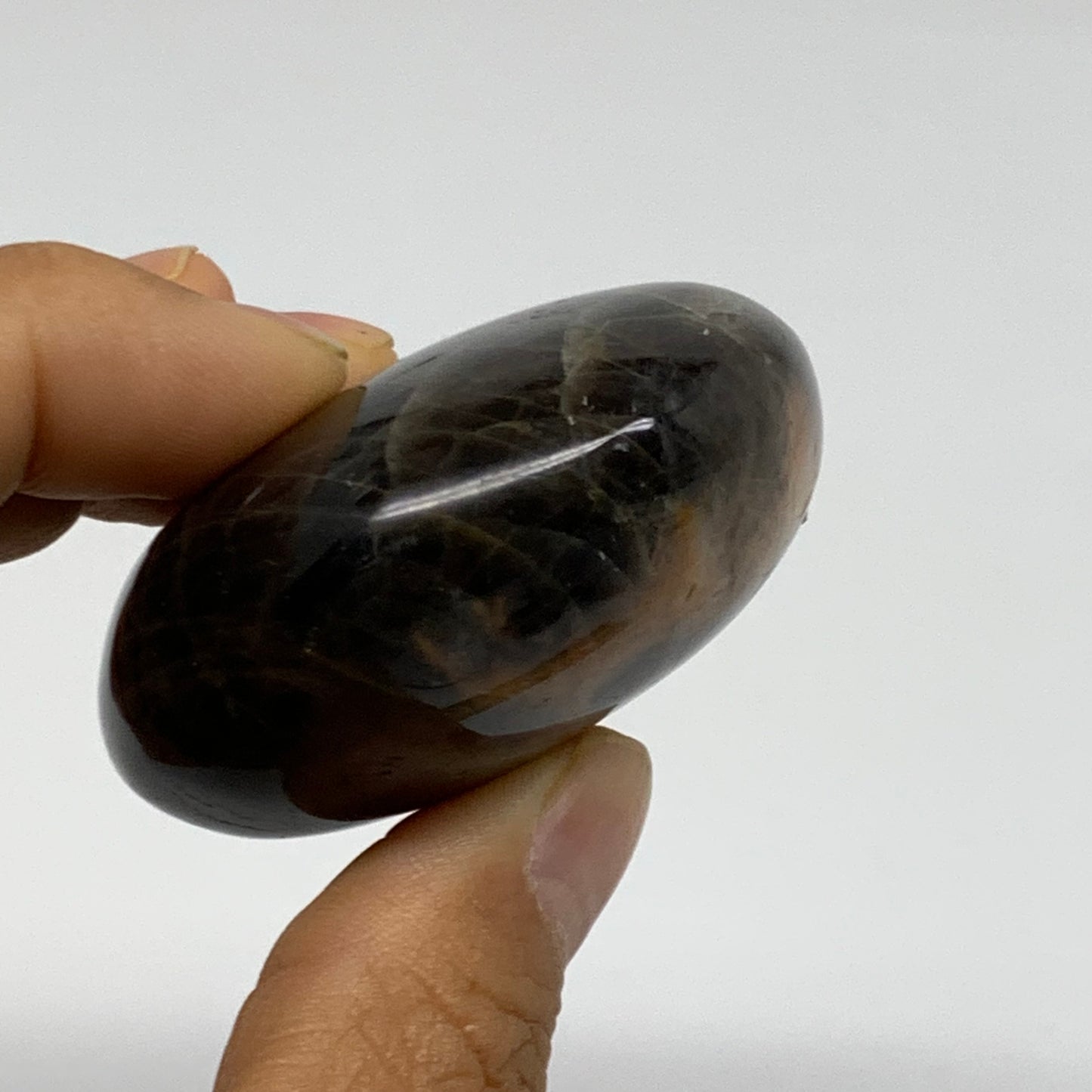 101.6g, 2.2"x1.9"x1",  Black Moonstone Crystal Palm-Stone Polished, B37790