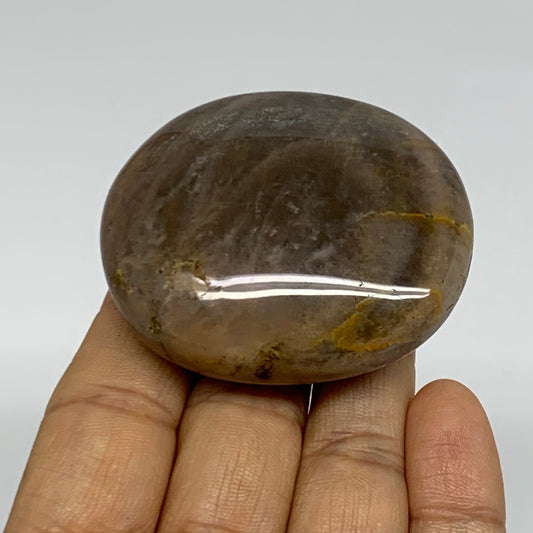 82.6g, 2.2"x1.9"x0.9",  Black Moonstone Crystal Palm-Stone Polished, B37791