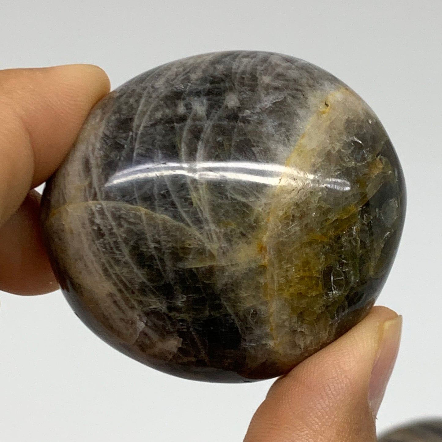 147.1g, 1.9", 2pcs, Black Moonstone Crystal Palm-Stone Polished, B37797