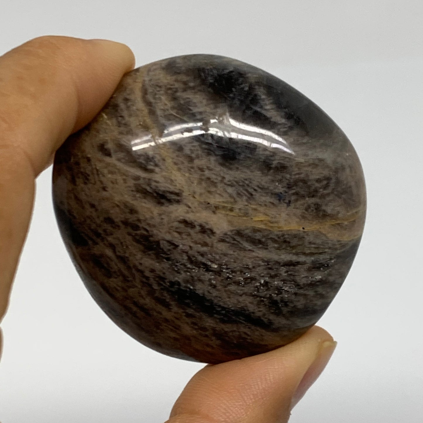 147.1g, 1.9", 2pcs, Black Moonstone Crystal Palm-Stone Polished, B37797