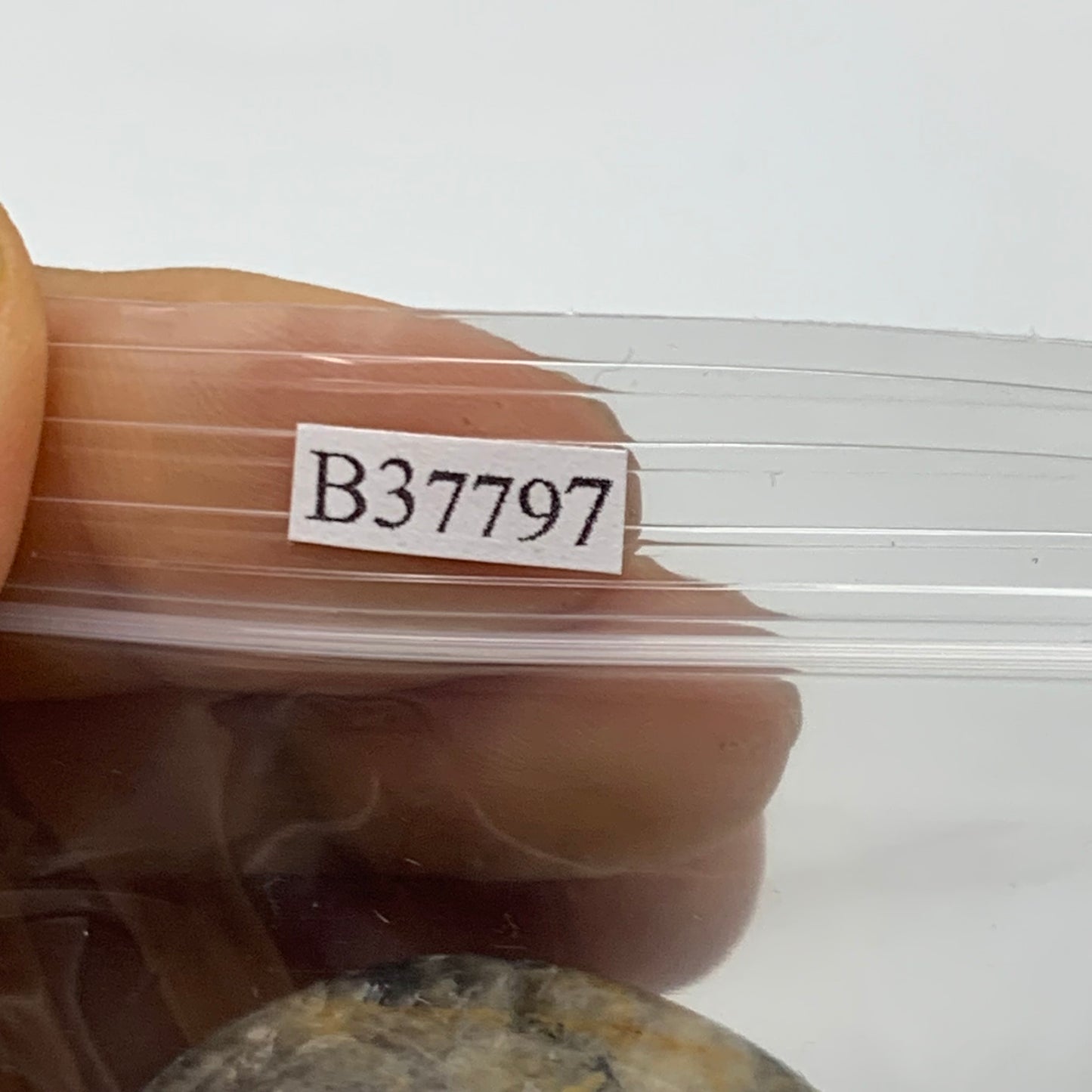 147.1g, 1.9", 2pcs, Black Moonstone Crystal Palm-Stone Polished, B37797