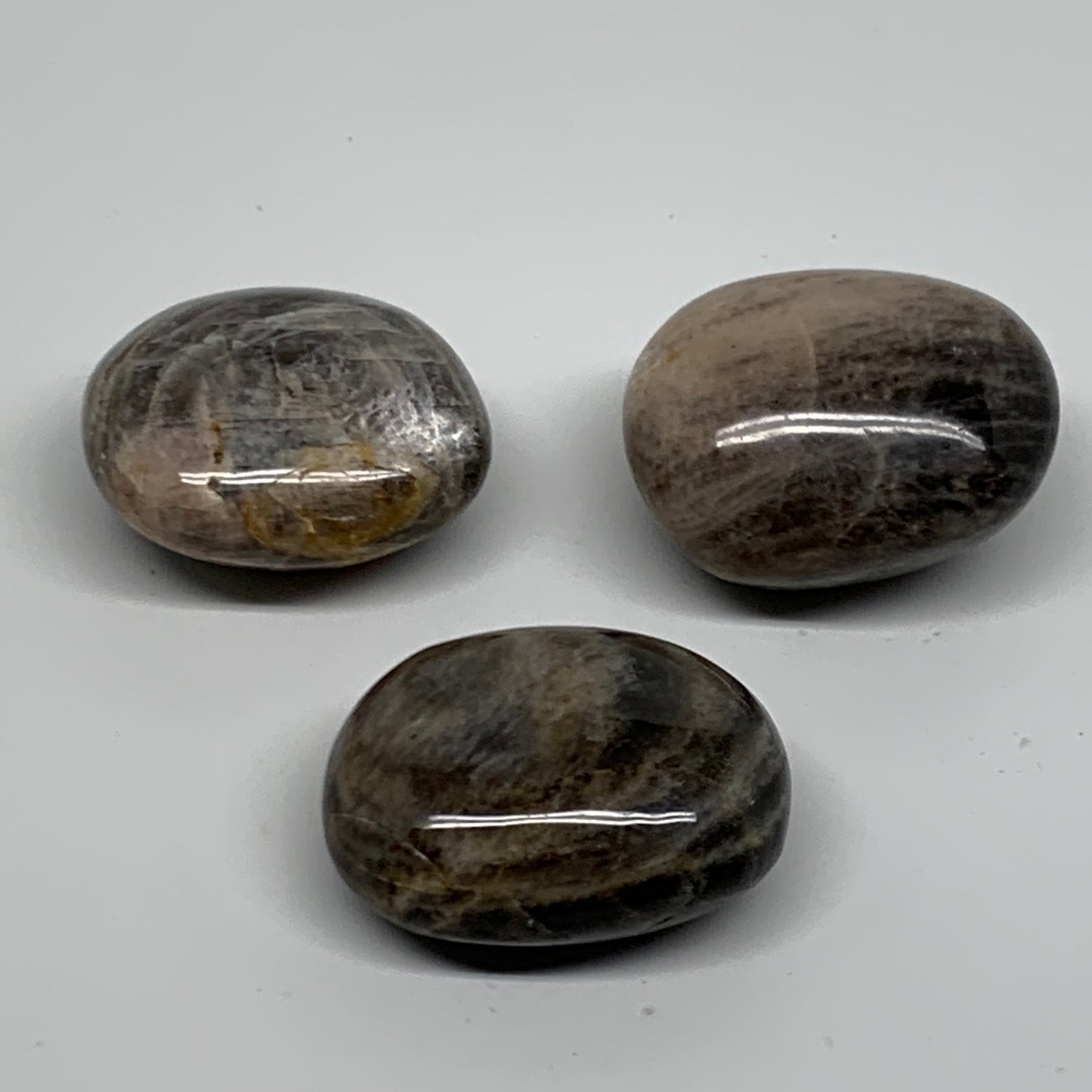206.1g, 1.8"-1.9", 3pcs, Black Moonstone Crystal Palm-Stone Polished, B37798
