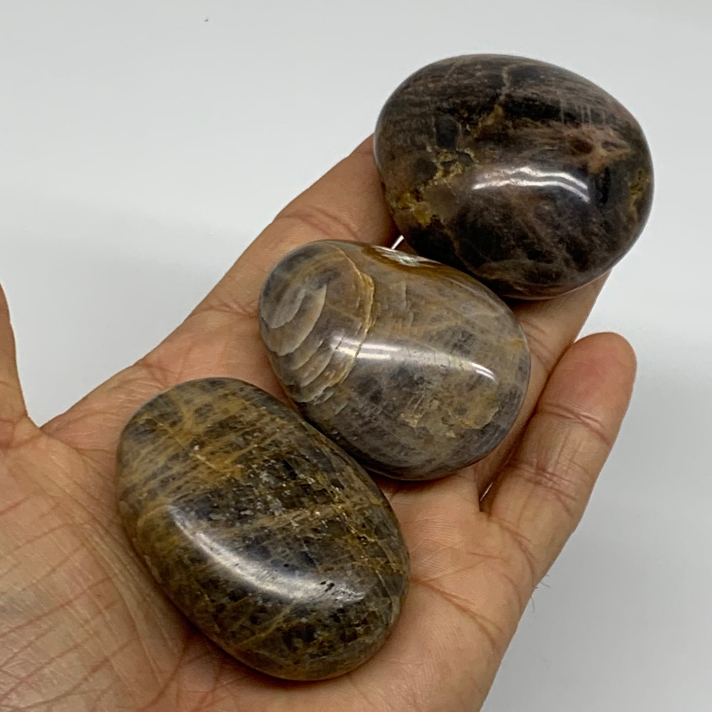 214.3g, 1.9"-2.1", 3pcs, Black Moonstone Crystal Palm-Stone Polished, B37800