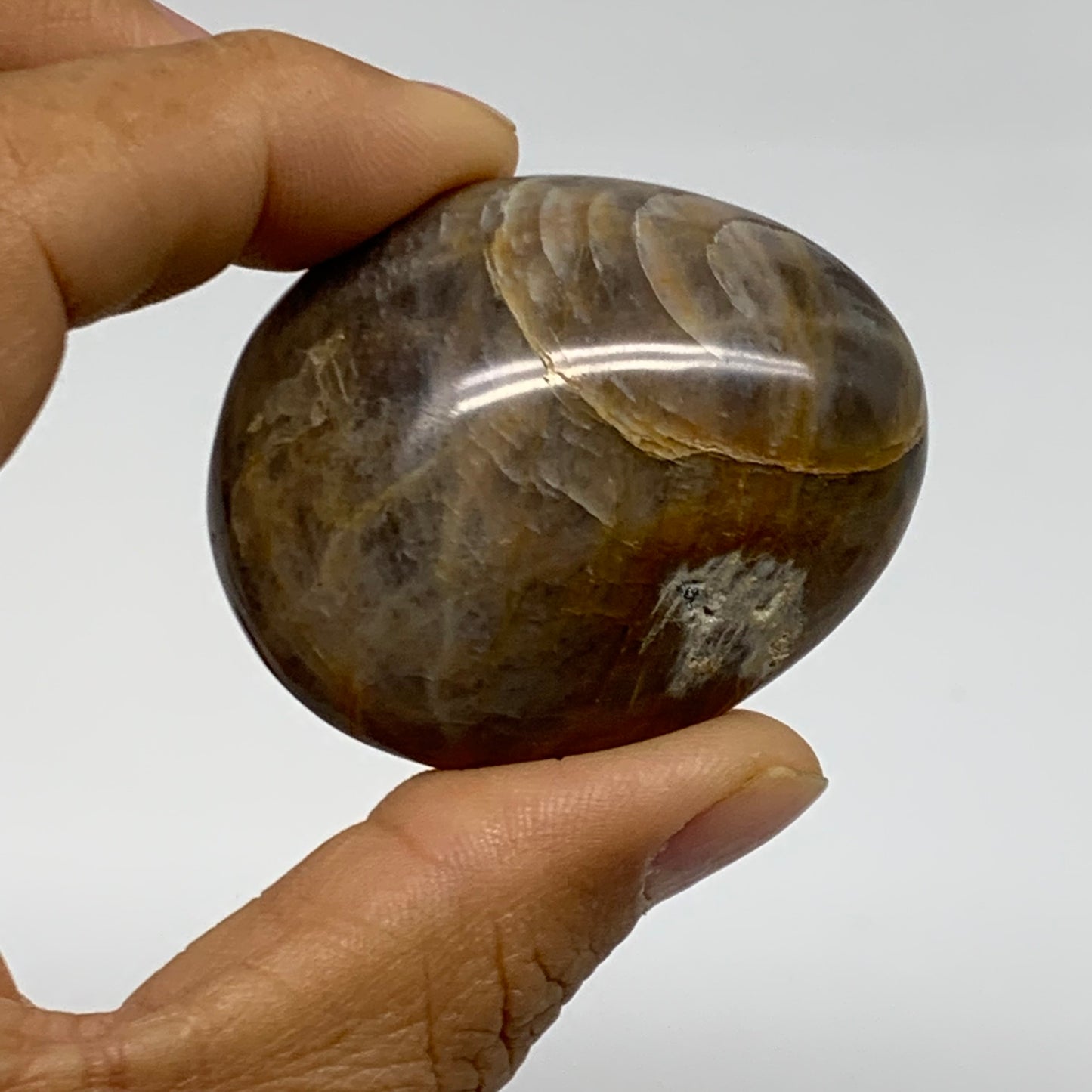 214.3g, 1.9"-2.1", 3pcs, Black Moonstone Crystal Palm-Stone Polished, B37800