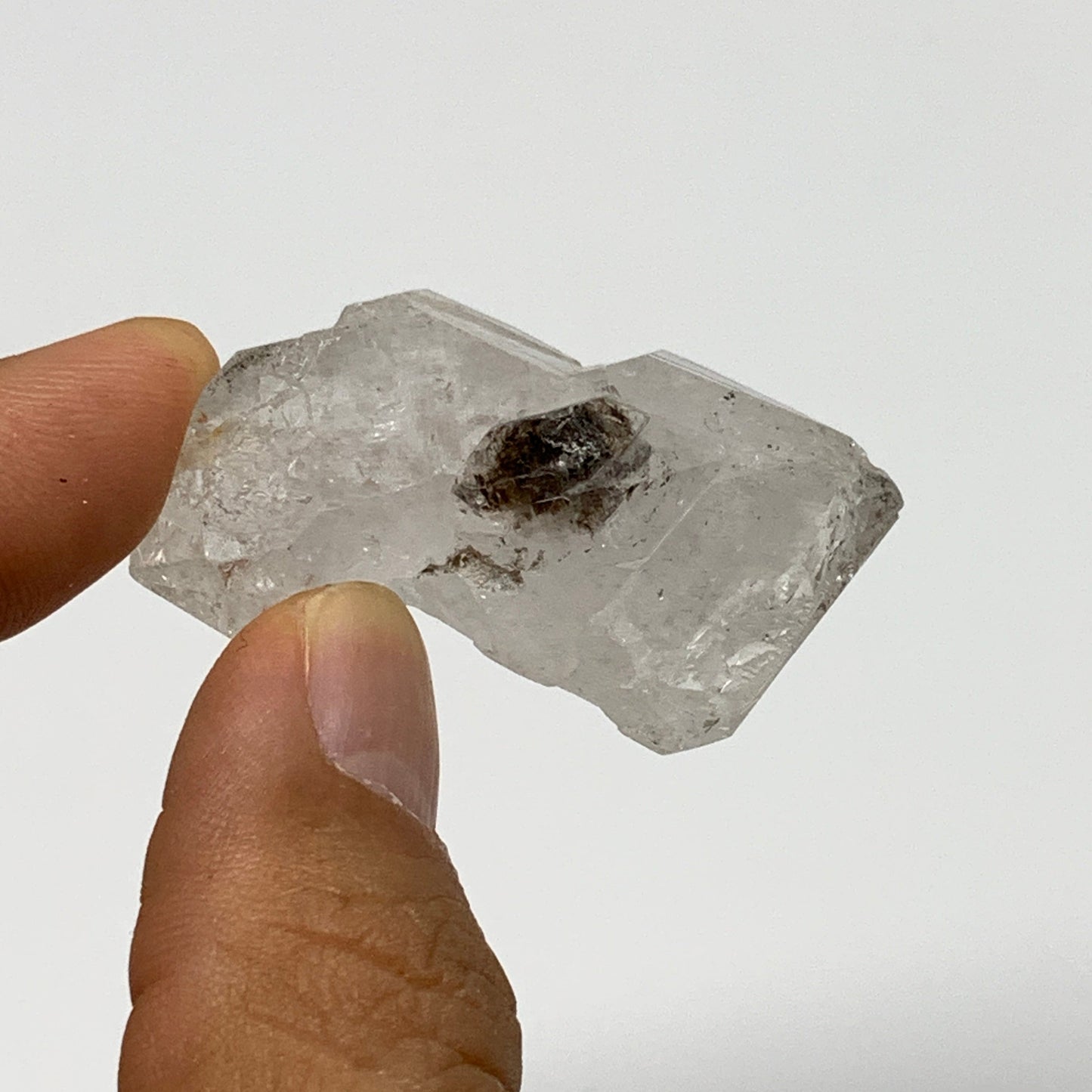 2.2 lb, 1.1"-1.9", 48 pcs, Window Quartz Crystal Terminated @Pakistan, B27495