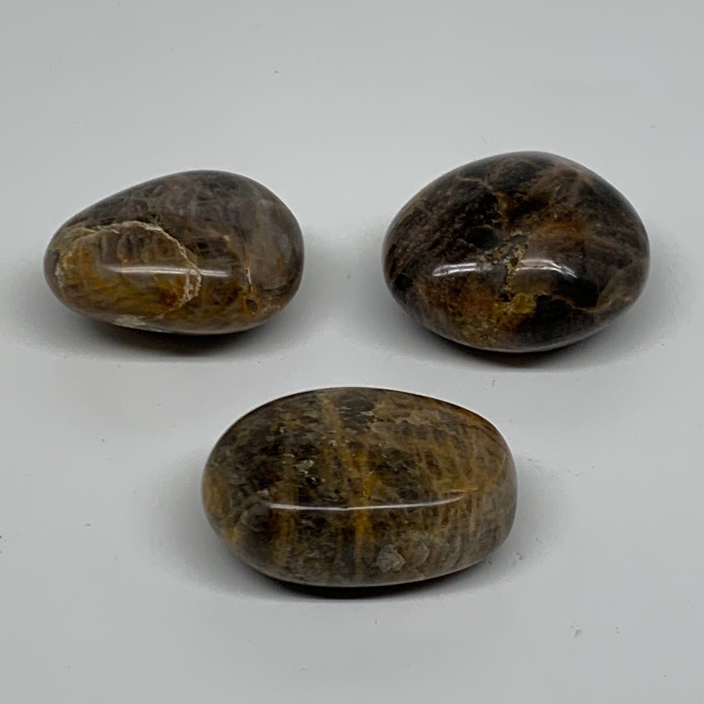 214.3g, 1.9"-2.1", 3pcs, Black Moonstone Crystal Palm-Stone Polished, B37800