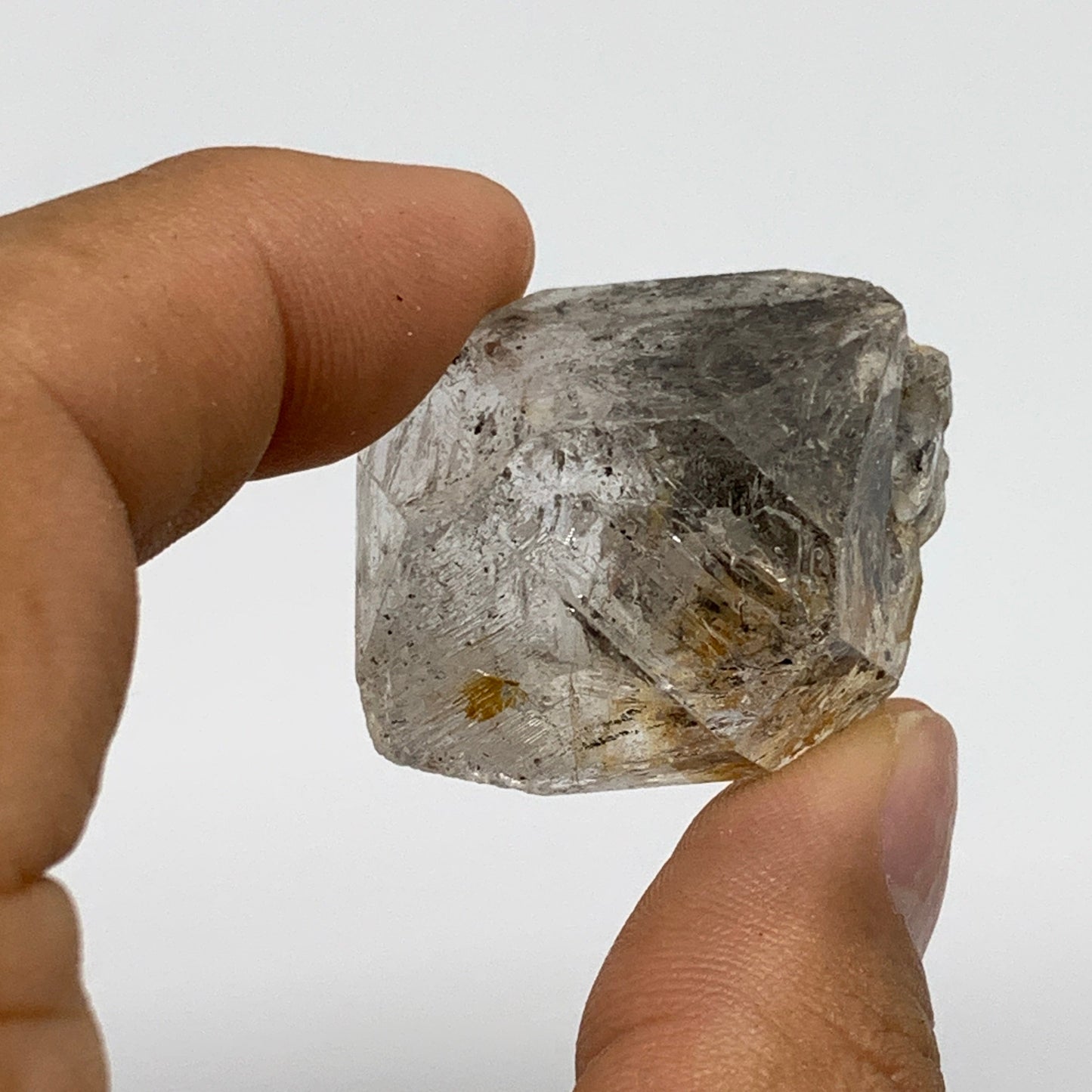 2.2 lb, 1.1"-1.9", 48 pcs, Window Quartz Crystal Terminated @Pakistan, B27495