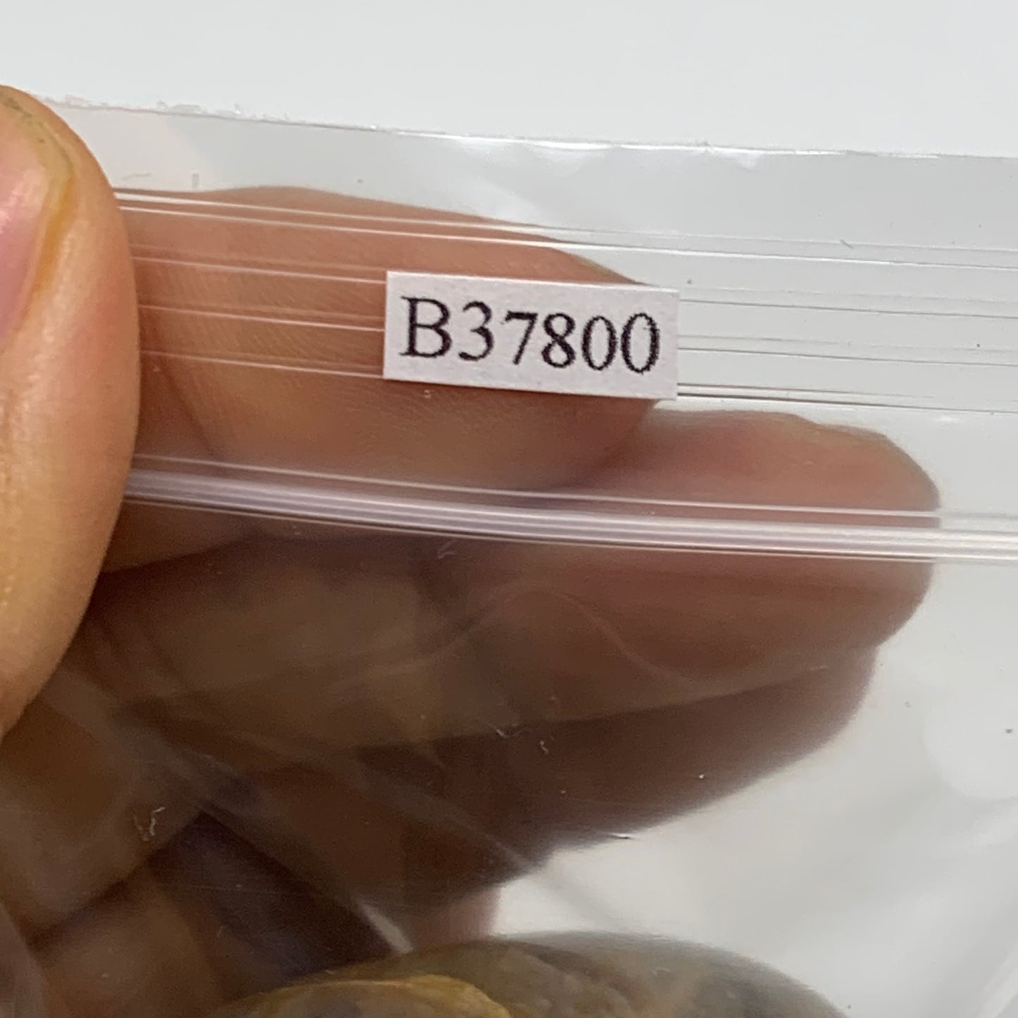 214.3g, 1.9"-2.1", 3pcs, Black Moonstone Crystal Palm-Stone Polished, B37800