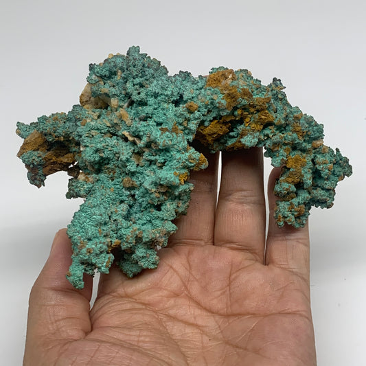 304.5g, 5"x3.2"x1.3", Malachite on Native Copper Mineral Specimens, B33982