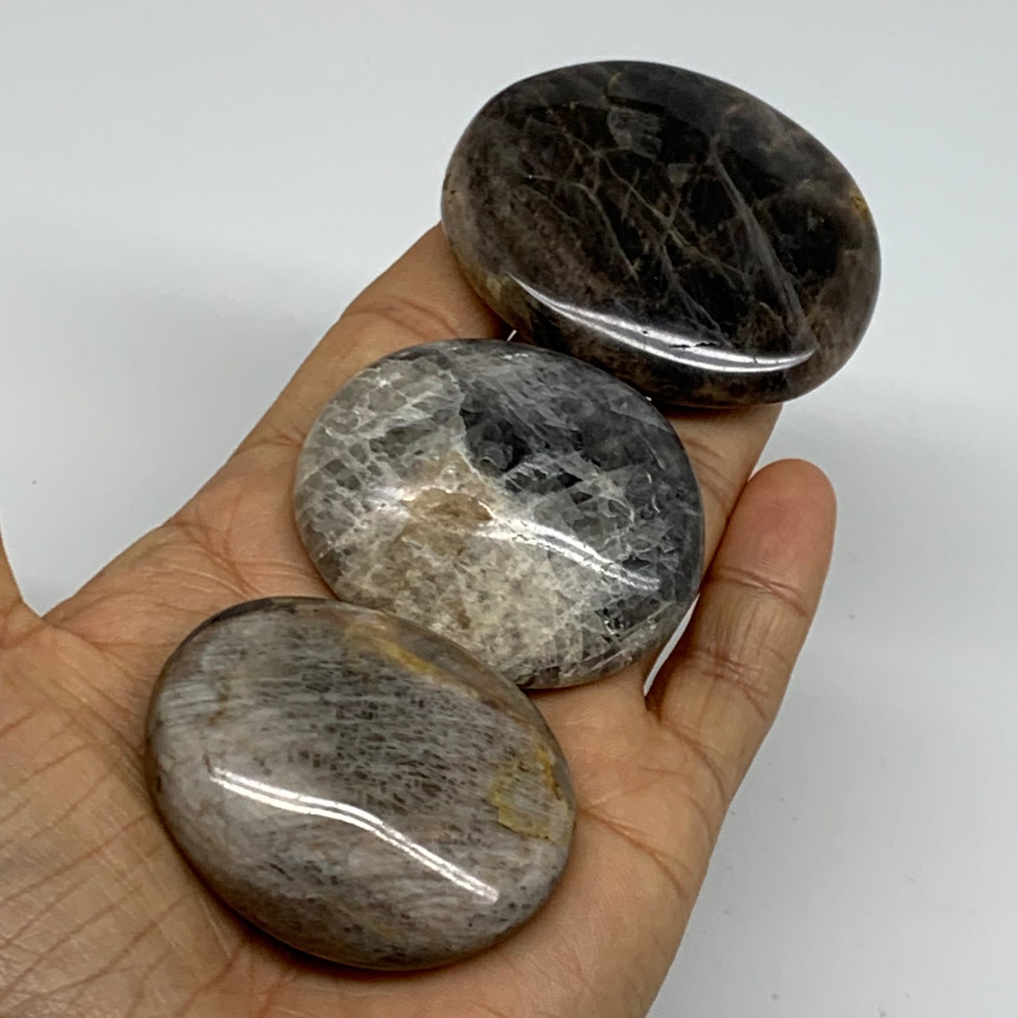 169.9g, 2"-2.3", 3pcs, Black Moonstone Crystal Palm-Stone Polished, B37801