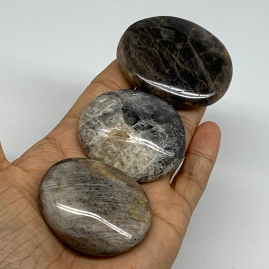 169.9g, 2"-2.3", 3pcs, Black Moonstone Crystal Palm-Stone Polished, B37801