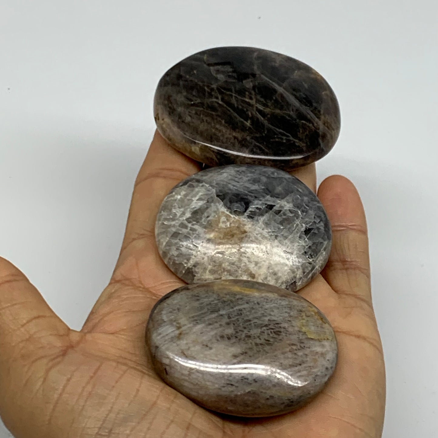 169.9g, 2"-2.3", 3pcs, Black Moonstone Crystal Palm-Stone Polished, B37801