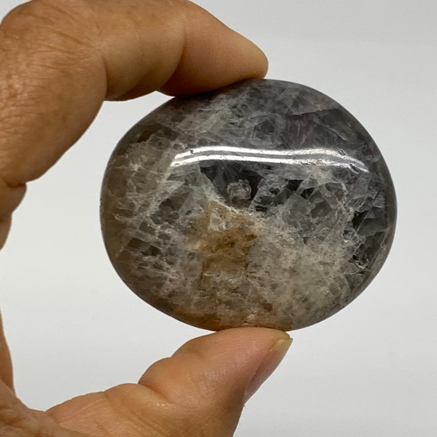 169.9g, 2"-2.3", 3pcs, Black Moonstone Crystal Palm-Stone Polished, B37801