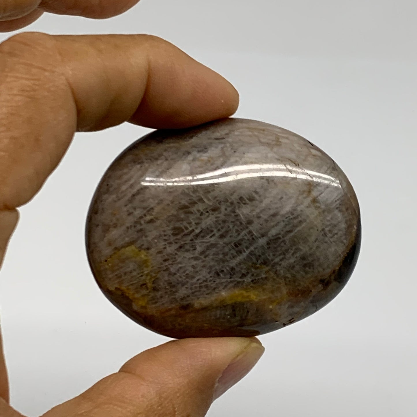 169.9g, 2"-2.3", 3pcs, Black Moonstone Crystal Palm-Stone Polished, B37801