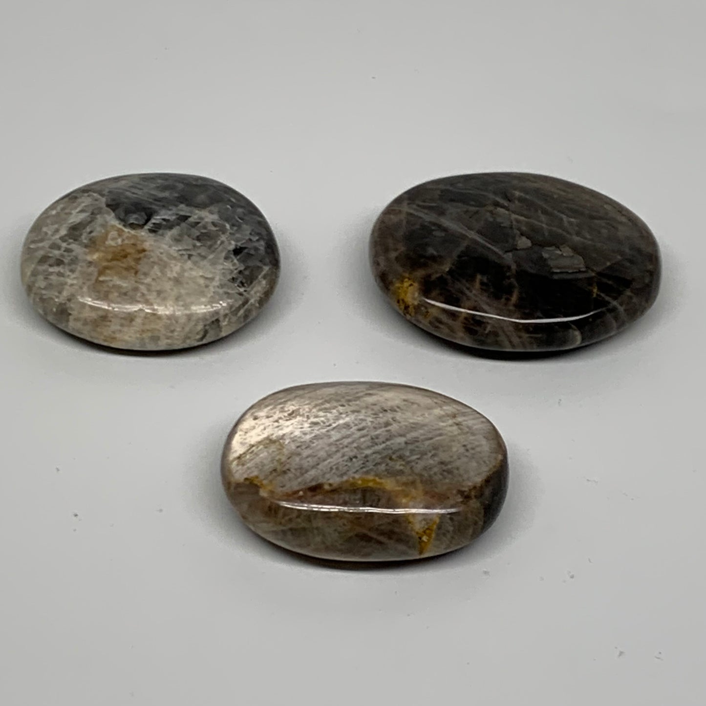 169.9g, 2"-2.3", 3pcs, Black Moonstone Crystal Palm-Stone Polished, B37801
