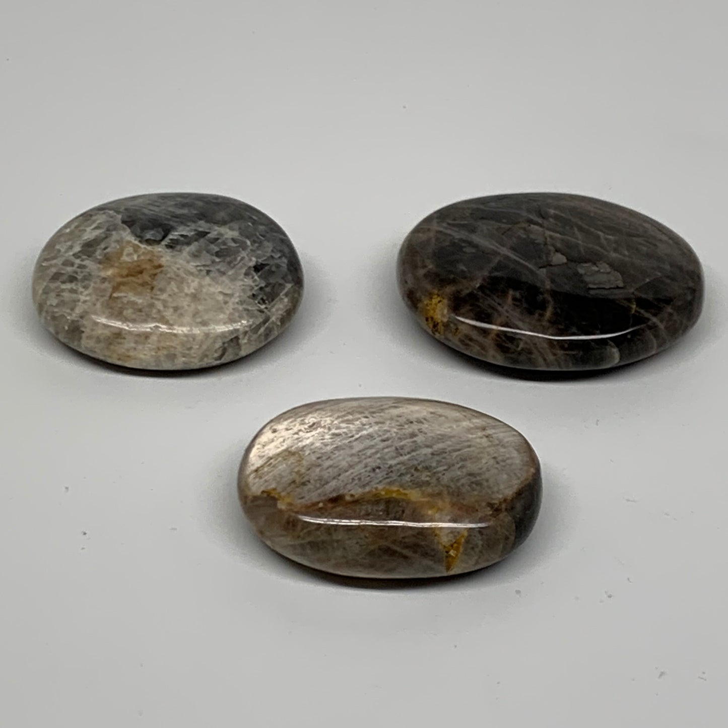 169.9g, 2"-2.3", 3pcs, Black Moonstone Crystal Palm-Stone Polished, B37801