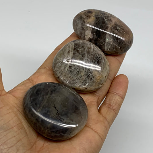 202.8g, 1.8"-2.1", 3pcs, Black Moonstone Crystal Palm-Stone Polished, B37802