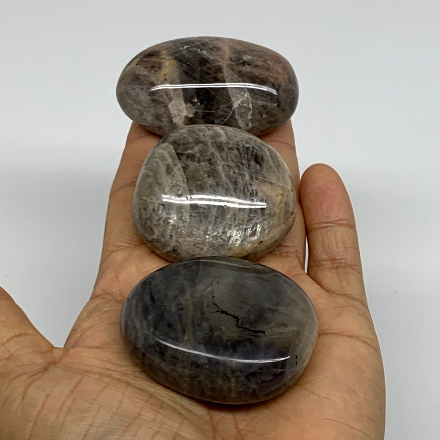 202.8g, 1.8"-2.1", 3pcs, Black Moonstone Crystal Palm-Stone Polished, B37802