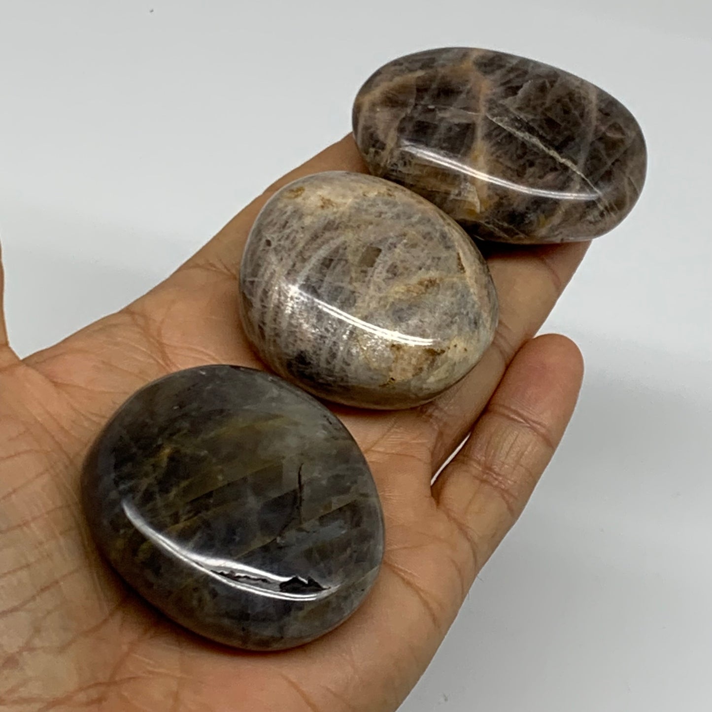 202.8g, 1.8"-2.1", 3pcs, Black Moonstone Crystal Palm-Stone Polished, B37802