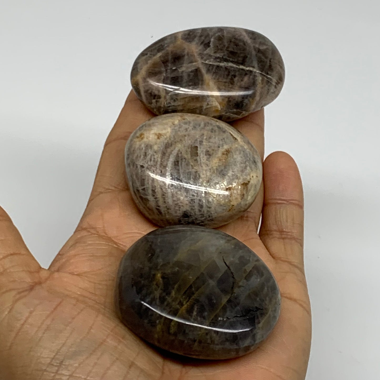 202.8g, 1.8"-2.1", 3pcs, Black Moonstone Crystal Palm-Stone Polished, B37802