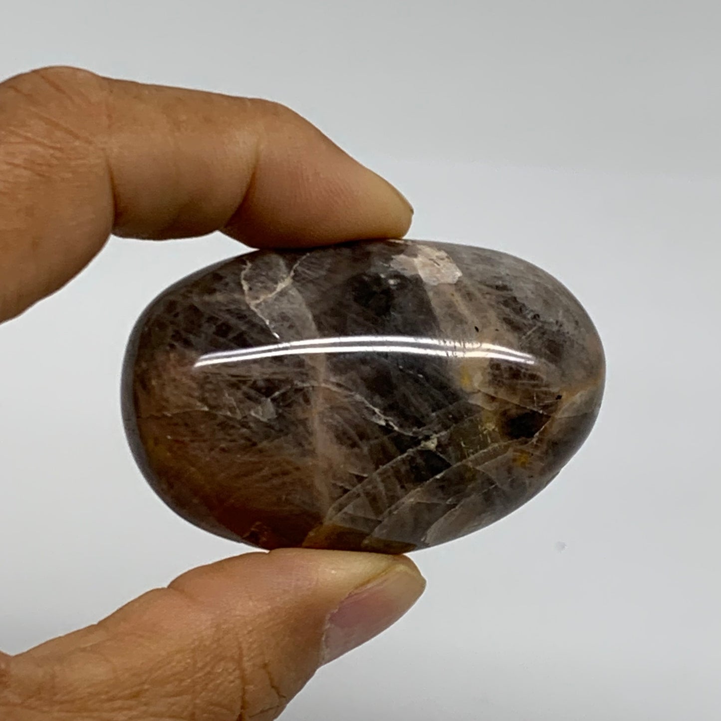 202.8g, 1.8"-2.1", 3pcs, Black Moonstone Crystal Palm-Stone Polished, B37802