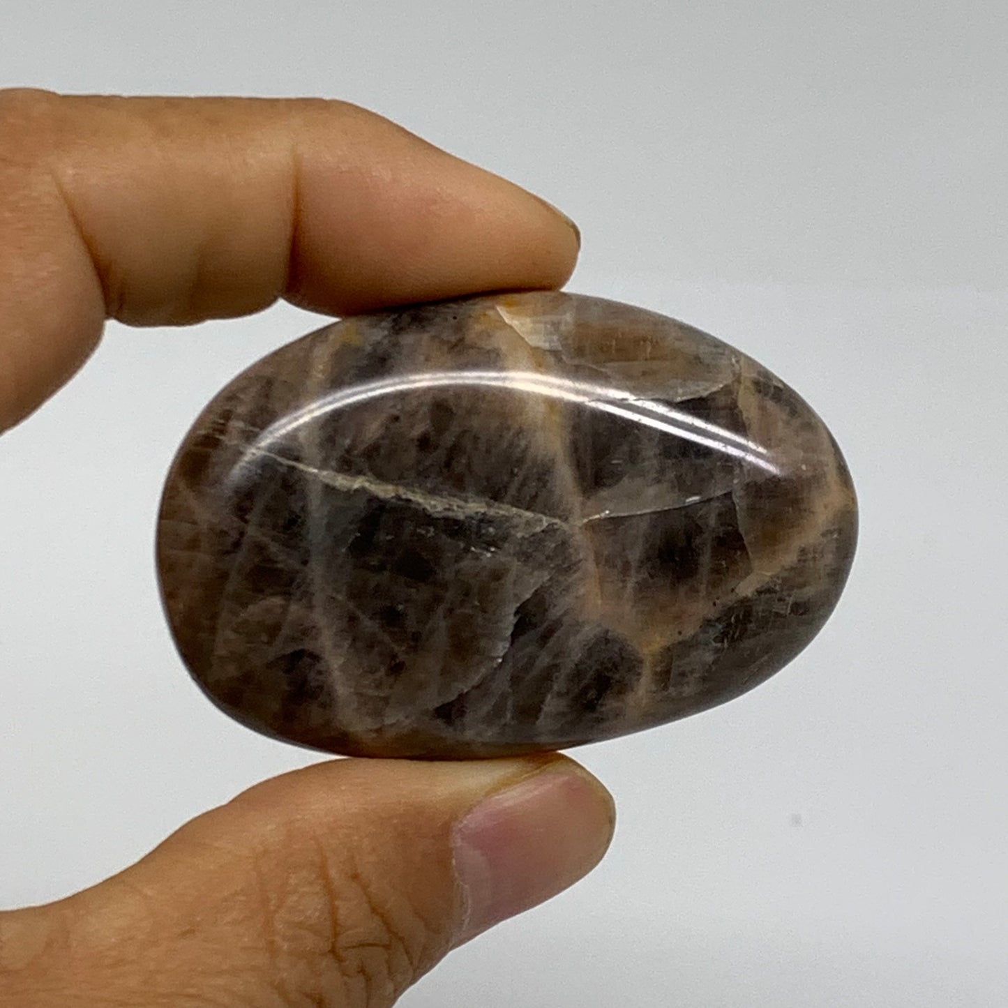 202.8g, 1.8"-2.1", 3pcs, Black Moonstone Crystal Palm-Stone Polished, B37802