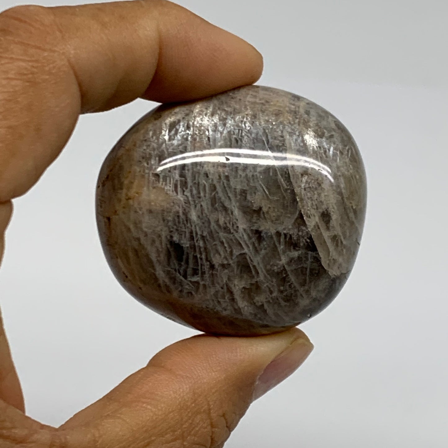 202.8g, 1.8"-2.1", 3pcs, Black Moonstone Crystal Palm-Stone Polished, B37802