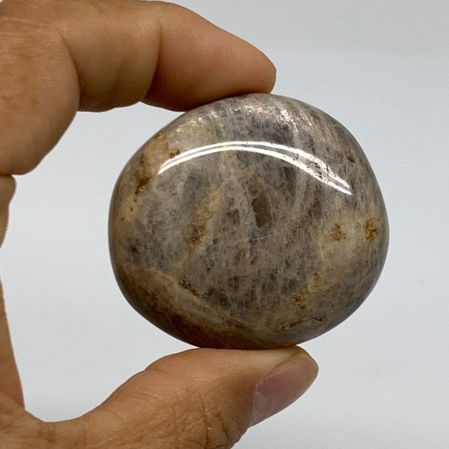 202.8g, 1.8"-2.1", 3pcs, Black Moonstone Crystal Palm-Stone Polished, B37802