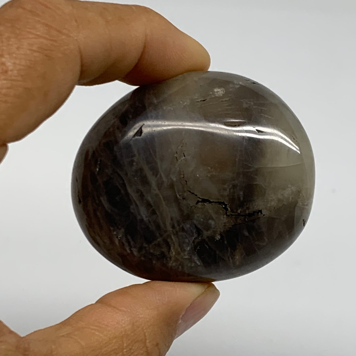 202.8g, 1.8"-2.1", 3pcs, Black Moonstone Crystal Palm-Stone Polished, B37802