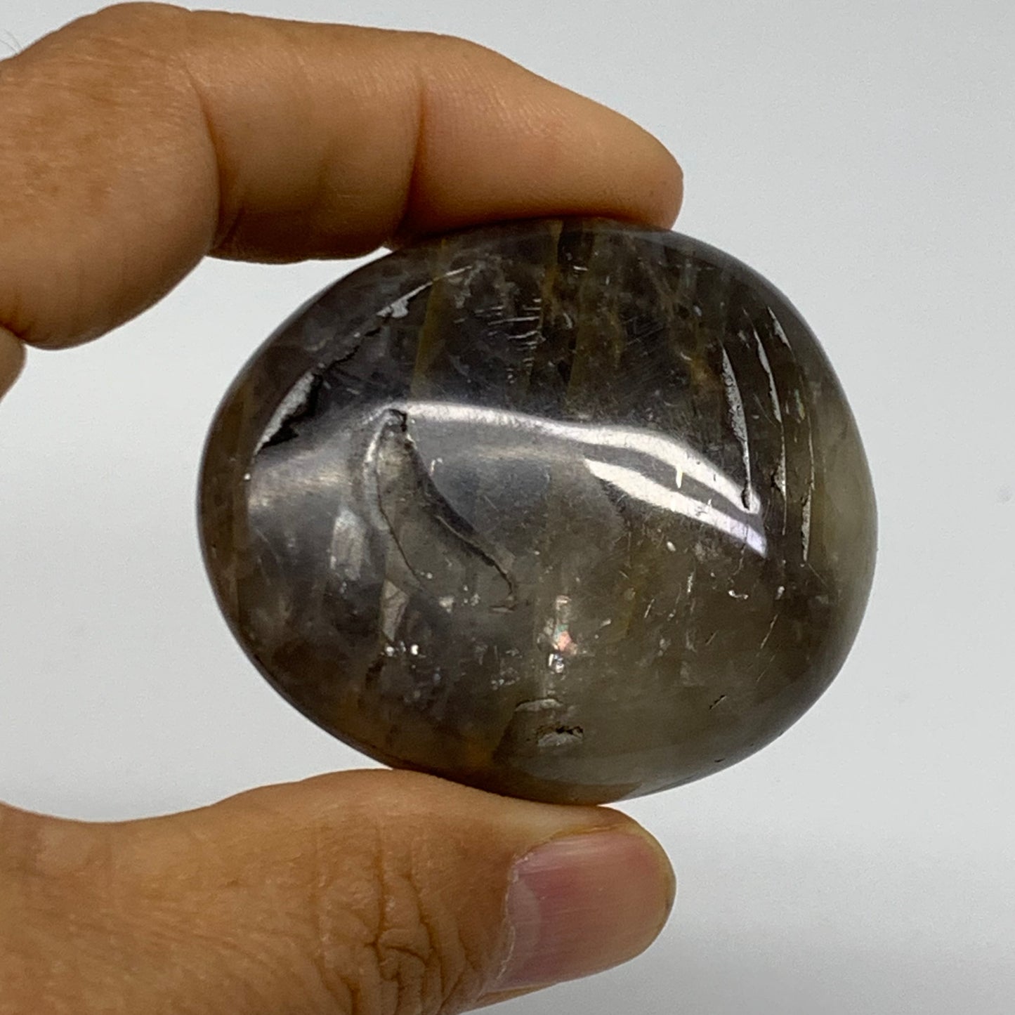 202.8g, 1.8"-2.1", 3pcs, Black Moonstone Crystal Palm-Stone Polished, B37802