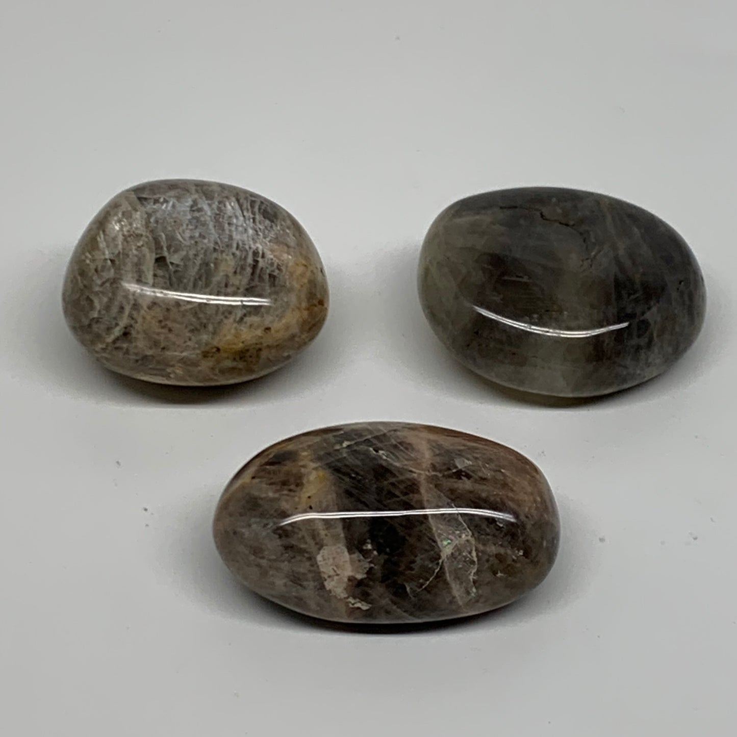 202.8g, 1.8"-2.1", 3pcs, Black Moonstone Crystal Palm-Stone Polished, B37802