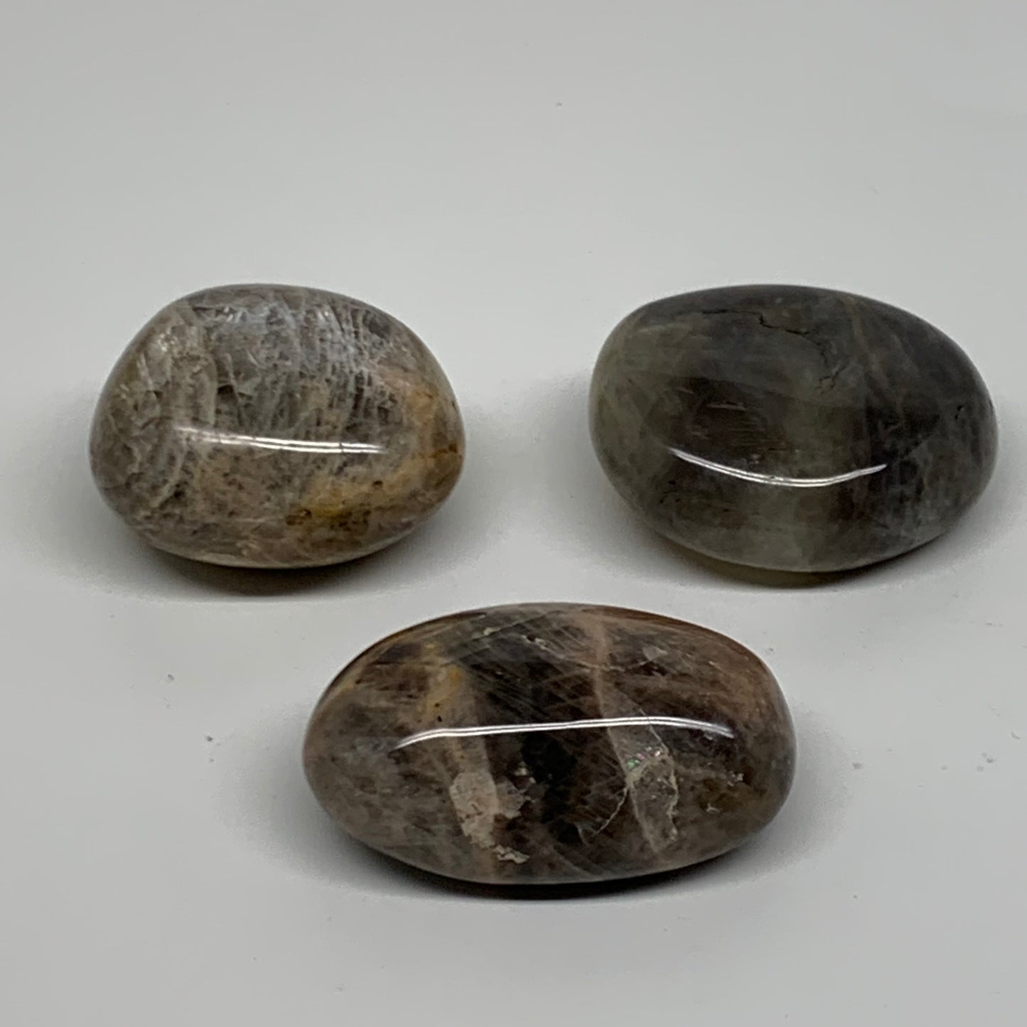 202.8g, 1.8"-2.1", 3pcs, Black Moonstone Crystal Palm-Stone Polished, B37802