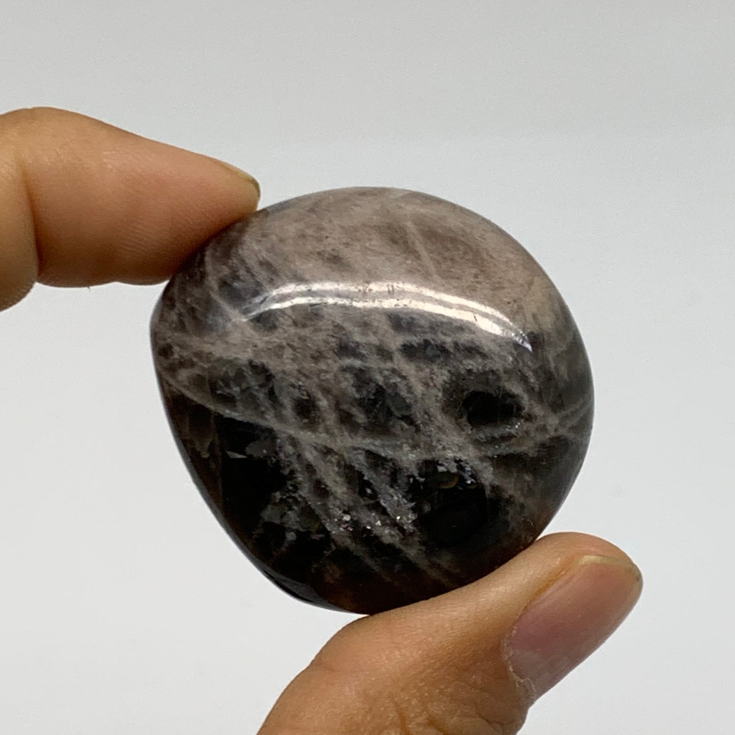 165.6g, 1.6"-2", 3pcs, Black Moonstone Crystal Palm-Stone Polished, B37803