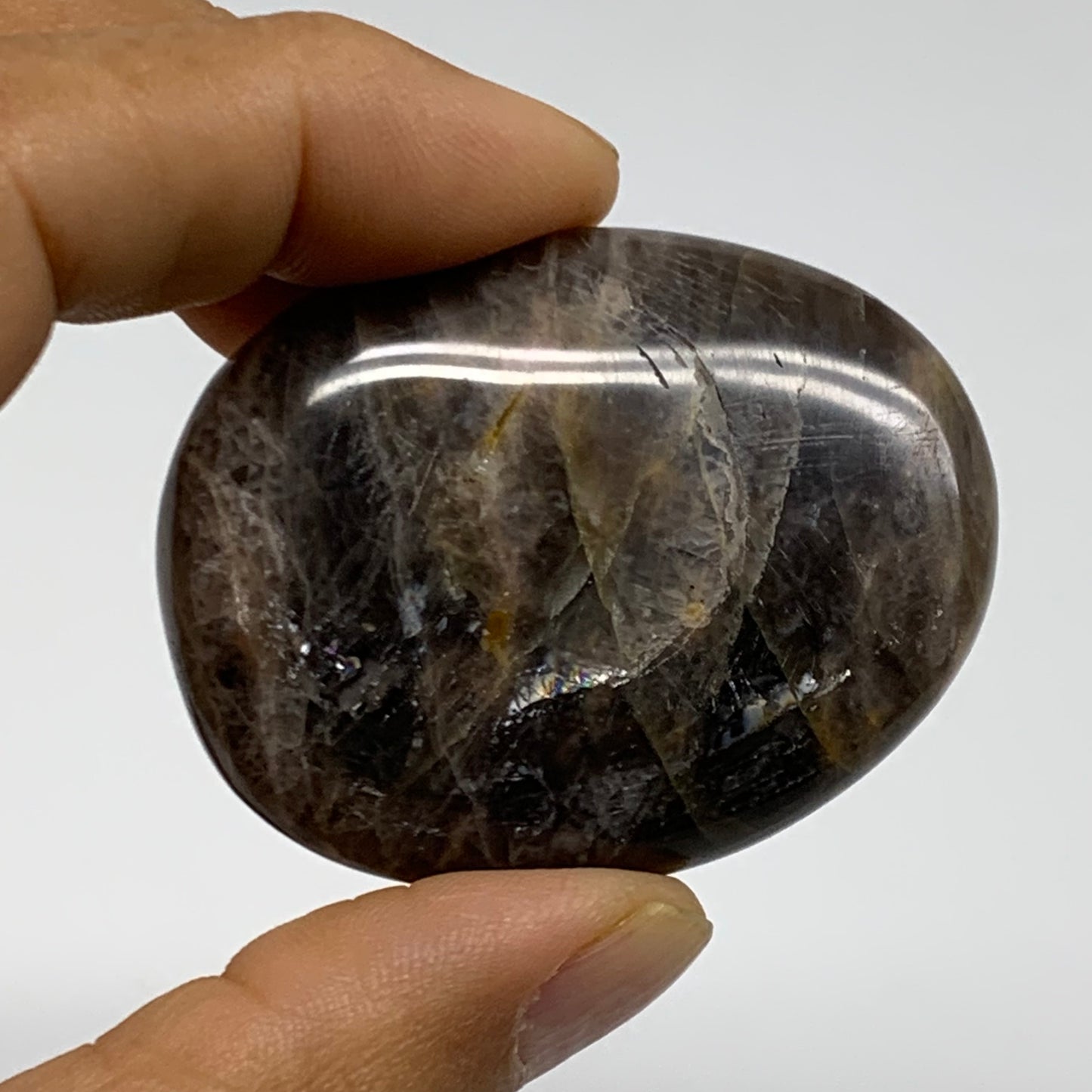 165.6g, 1.6"-2", 3pcs, Black Moonstone Crystal Palm-Stone Polished, B37803