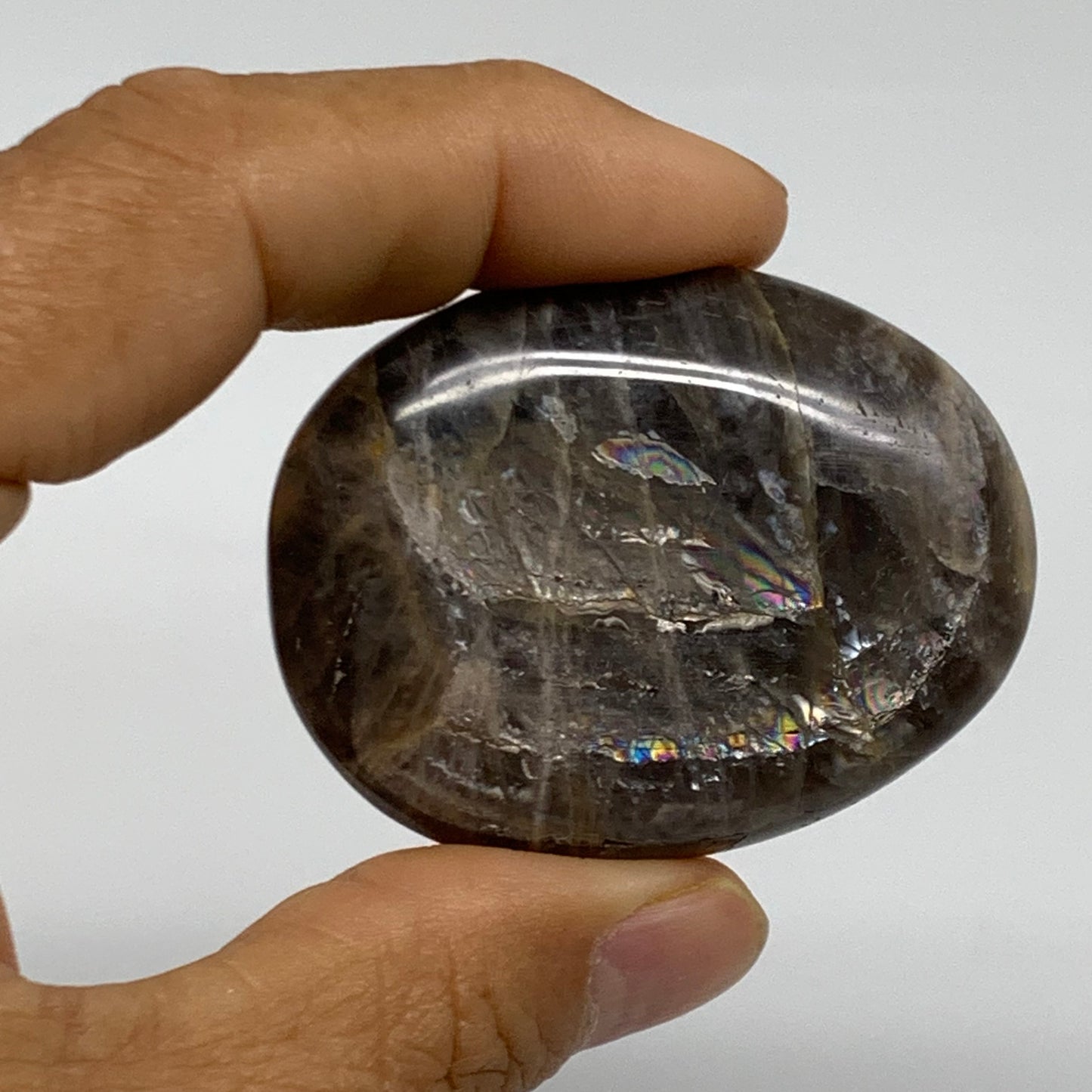 165.6g, 1.6"-2", 3pcs, Black Moonstone Crystal Palm-Stone Polished, B37803