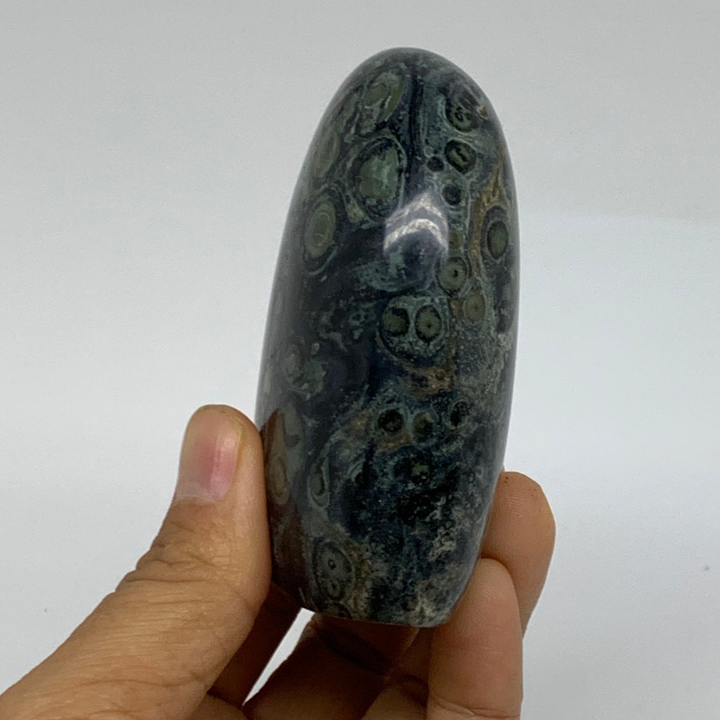 0.65 lbs, 3.2"x2.4"x1.4" Kambaba Jasper Freeform Crocodile, B37804